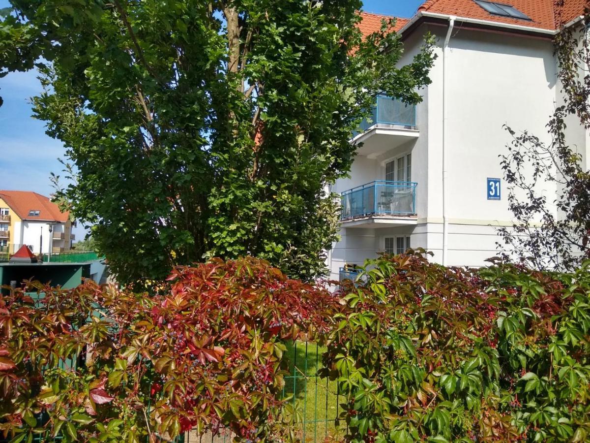 Green Apartment Z Bezplatnym Parkingiem Olsztyn  Exterior photo